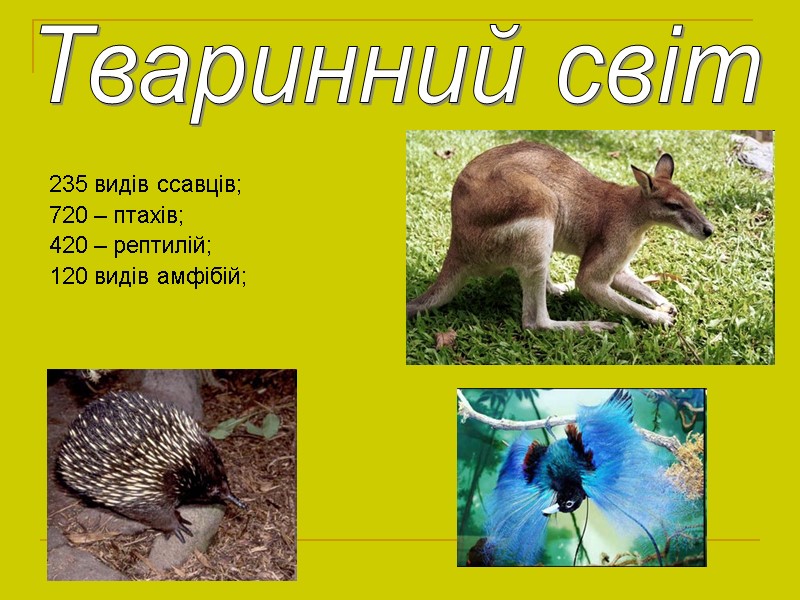 235 видів ссавців;  720 – птахів;  420 – рептилій; 120 видів амфібій;